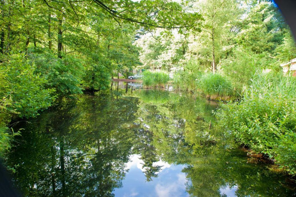 Vakantiepark De Berkenhorst Kootwijk Екстер'єр фото